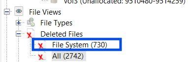Deleted Files